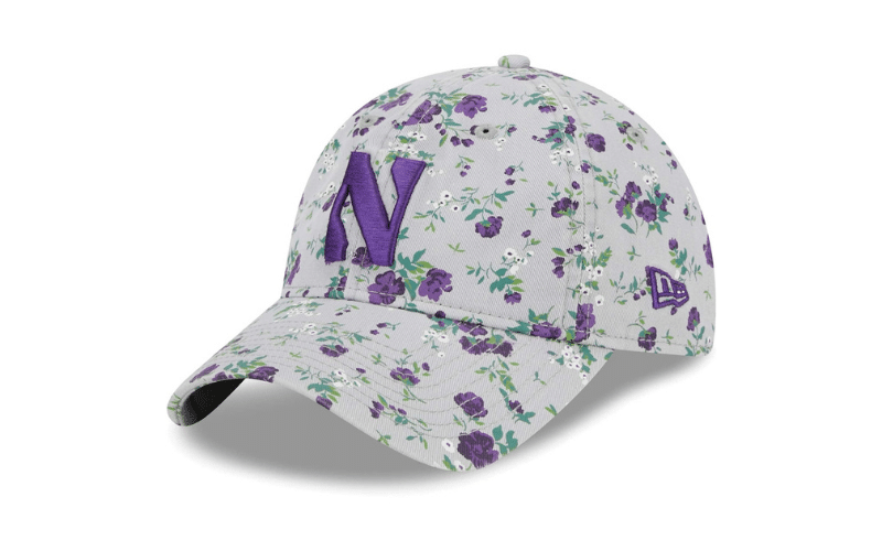 Northwestern Wildcat Hats 